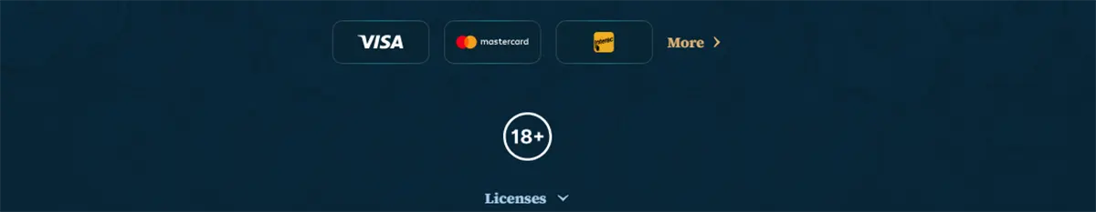 Payment methods footer with Visa, Mastercard, and Maestro icons, a “More” link, an 18+ badge, and a “Licenses” dropdown on a dark blue background.