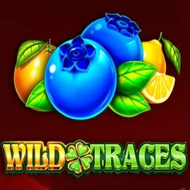 Wild Traces slot visual from Amusnet Interactive available on betalicecasinoo.com